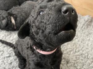 Already quite a character!