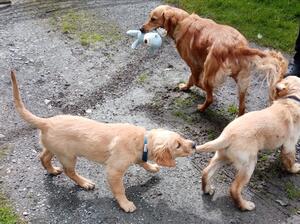 Playing with Mum