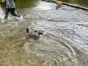 Kaysie loving life 🥰