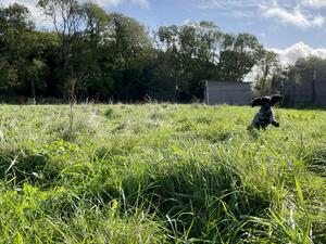 My Sweet Girl Kaysie