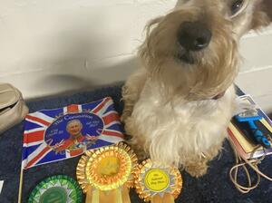 Qualified for crufts 2024