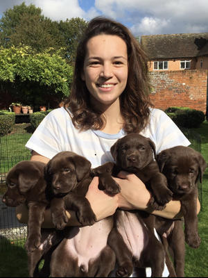 Poppy's litter 2017