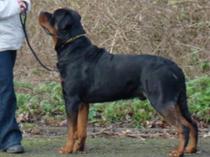 Arthur aged 22 mths