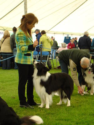 Arnie competing at the Scottish Championships