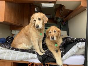 Bailey & Tok - motorhoming in NZ