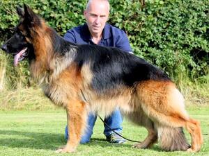 Edmond, stunning long coat
