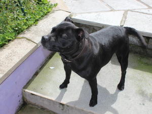 coco 3 yrs old