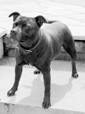 coco 3 yrs old