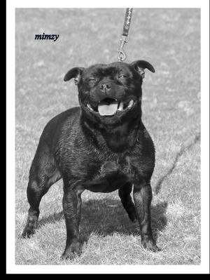 mimzy at 22 months