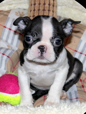 hope at 8 wks
