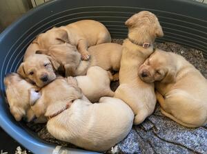 Having a kip