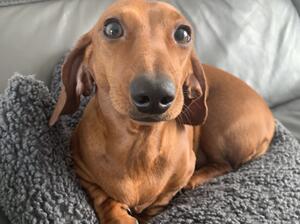 Smiling for the camera