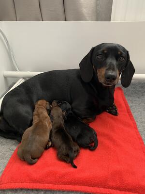 Proud mum