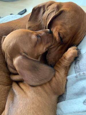 Proud mum & son