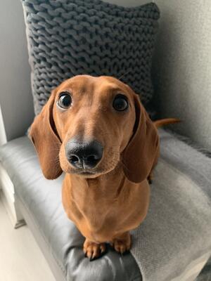 Rubi’s daughter Reva