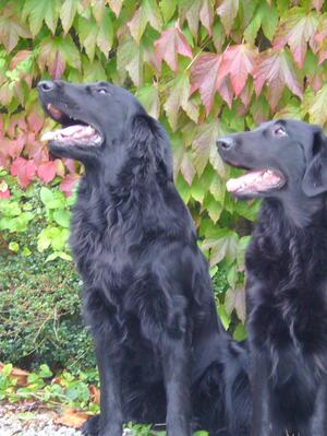 Brenna and her brother Benji