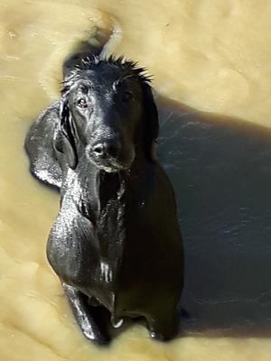 Nancy 'Waterbaby'