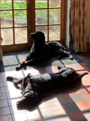 LUMO & NANCY (front)