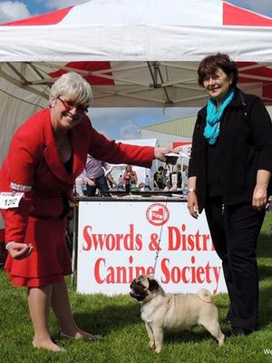 'JJ'  Wins GREEN STAR & BEST OF BREED