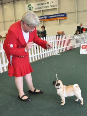 JJ winning BEST BABY PUPPY IN BREED