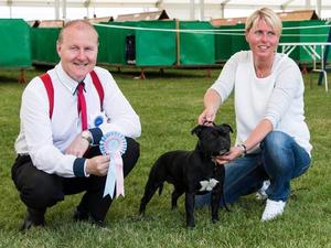 Jorgie Best Puppy @ Leeds CH
