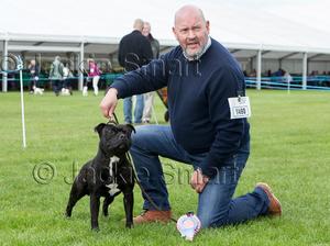 Best Puppy Darlington 2017