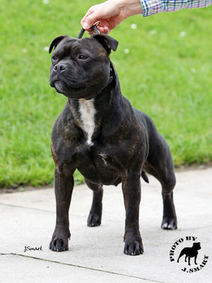 Lou @ 20mths old