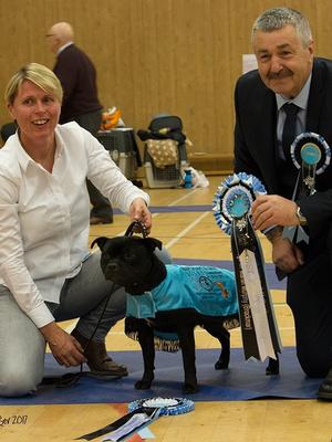 Best Puppy Southern Counties SBT Club