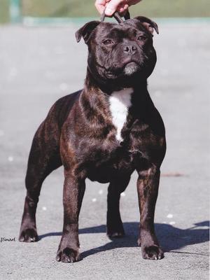 Lou @ 15mths old