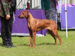 Deedee 12 months