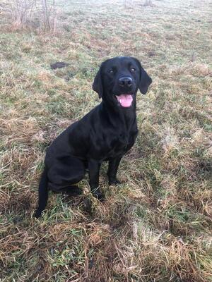 happy and handsome