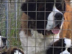 Betsy behind Bars