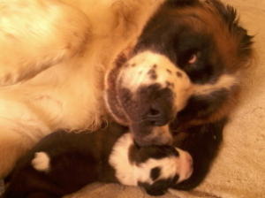 Flopsy Happy mum with Queenie