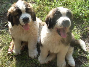 best friends