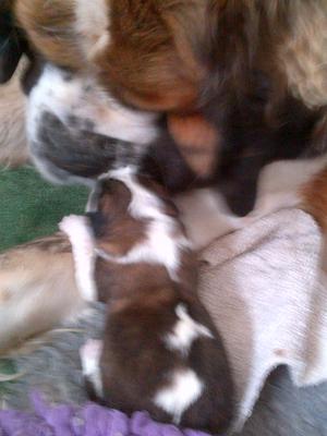 First kiss. One day old