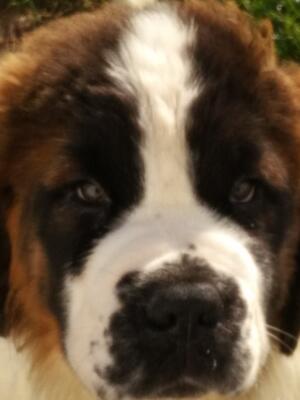 The Eyes have It..