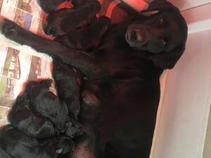 !0 days old