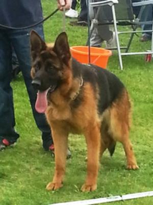 Annie at Southern Regional