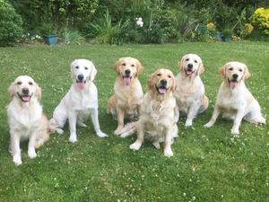 OUR CURRENT SHOW GIRLS