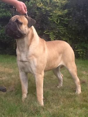 Graecia Aslan With Hyerdunscar