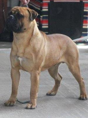 Hyerdunscar Red Square Of Copperfield