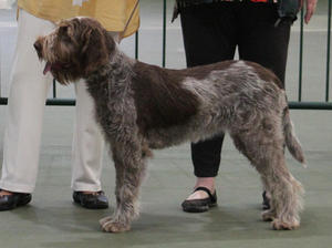 Lola at the Club Show