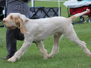 Monty