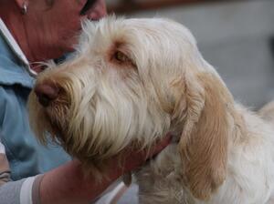 Madge Head shot