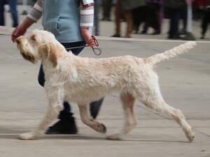 Madge moving