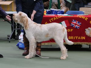 Stanley age nearly 9 months