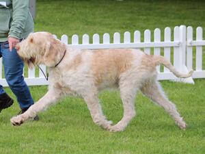 Arthur aged 21 months at the National