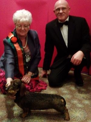 TOP DOG DUBLIN