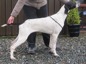 Skee at 5 months
