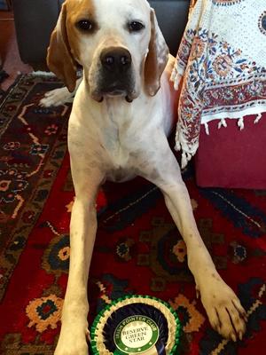 Buzz with one of his many rosettes